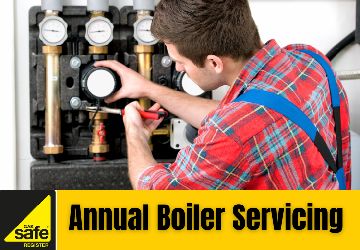 annual boiler servicing Swanley
